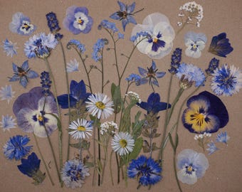Something Blue | Pressed Edible Flowers | Cake Decorating | Wee Flower Eater