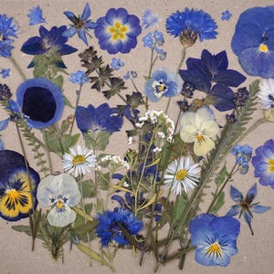 Something Blue | Pressed Edible Flowers | Cake Decorating | Wee Flower Eater