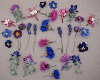 Flores comestibles secas rosas y azules / Adorno para pasteles y cócteles