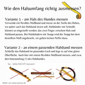 ALMADOG Hundehalsband Abby – Weiches Fettleder, Geflochten, Made In Germany, Kastanienbraun XS (27–33 Cm)