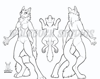 Female Cat Base
