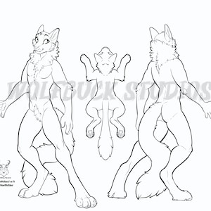 Male Cat Base