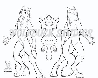 Male Cat Base