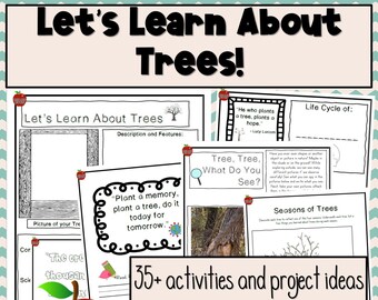 Boomeenheidstudie, meer informatie over bomen, natuurstudie, wetenschap, milieu, Dag van de Aarde, Arbor Day