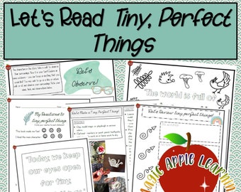 Tiny, Perfect Things Book Companion, Picture Book Study, Nature Inspired Activities, Learning Activities