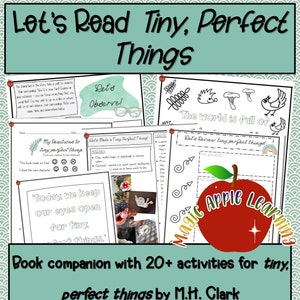 Tiny, Perfect Things Book Companion, Picture Book Study, Nature Inspired Activities, Learning Activities