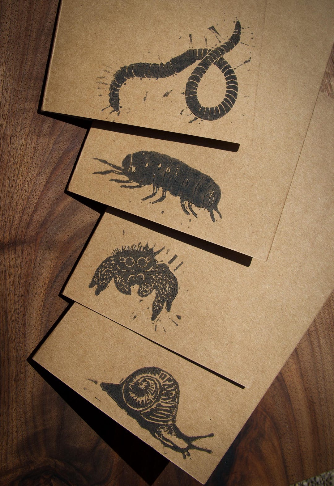 Creepy Crawlies Card Pack - Etsy