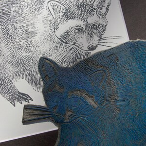 Raccoon- Original Linocut Print - Etsy