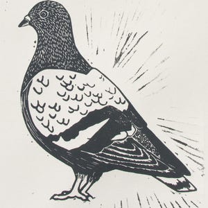 Taube - Original Linoldruck