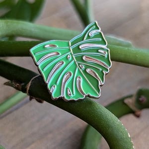 May include: A green monstera leaf enamel pin with a silver outline. The pin is on a green plant stem.