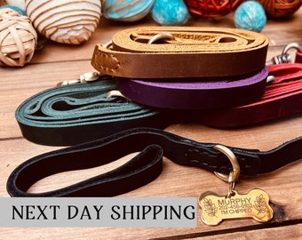 Leather Dog Leash, Leather Pet Leashes, Puppy Leash 4ft, Leather Dog Lead with Handle for Small and Large Dogs