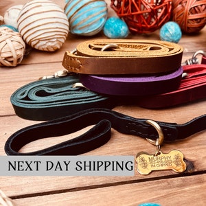 Leather Dog Leash, Leather Pet Leashes, Puppy Leash 4ft, Leather Dog Lead with Handle for Small and Large Dogs