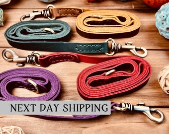 Dog Leash, Leather Pet Leashes, Puppy Leash 4ft, Leather Dog Lead with Handle for Small and Large Dogs