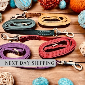 Dog Leash, Leather Pet Leashes, Puppy Leash 4ft, Leather Dog Lead with Handle for Small and Large Dogs
