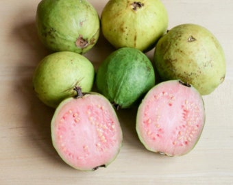 May include: A group of seven whole and halved guavas. The guavas are green and pink. Some of the guavas are cut in half, revealing the pink flesh.