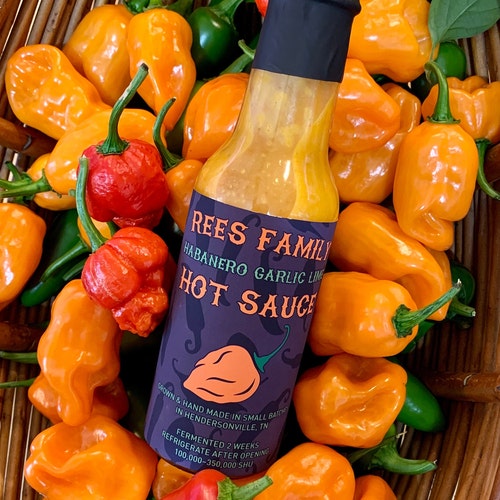 Habanero Hot Sauce Gift Set savage Sass Etsy