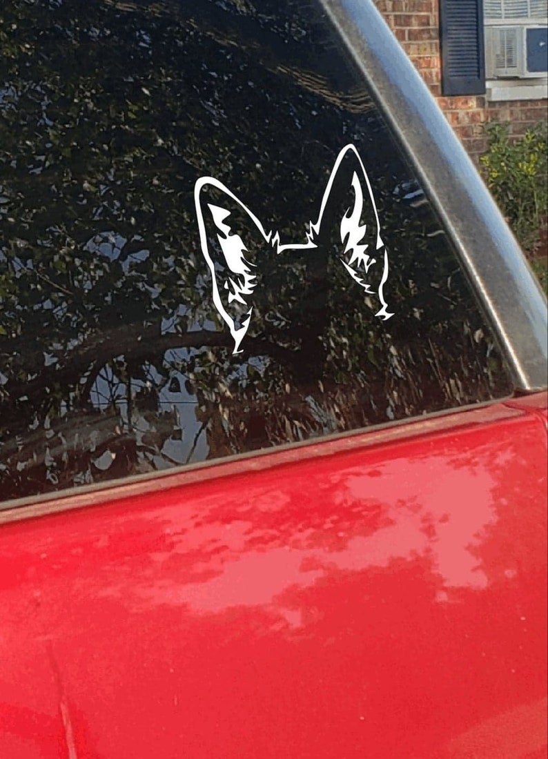 May include: White vinyl decal of a dog's ears, applied to a car window. The decal is a stylized representation of a dog's ears, with detailed inner ear markings. The car is red, and the window reflects trees and a house.