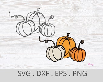 Pumpkins svg, 3 fall pumpkins svg, thanksgiving svg, harvest, digital cut file silhouette, fall png, pumpkin colours, pumpkin outline, dxf