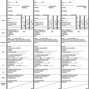 5 Patient Nurse Report Sheet