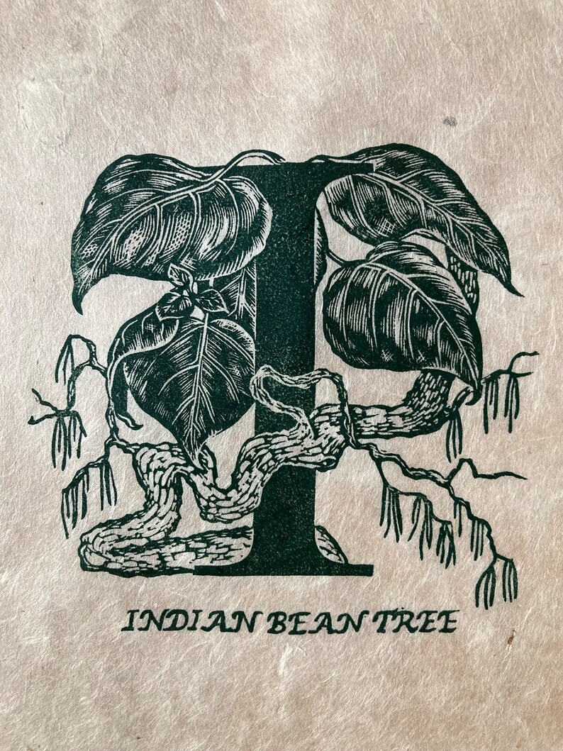 Tree Letters I Letter G I Tree Alphabet Series Lino Print - Ginkgo, Indian Bean Tree ...