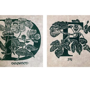 Serie de alfabetos de árboles con letras D y F, impresión en linóleo - Dogwood Fig