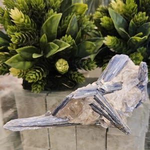 Kyanite, Blue Kyanite, Beautiful Kyanite, Healing Crystal, Home Decor, Gift (115)