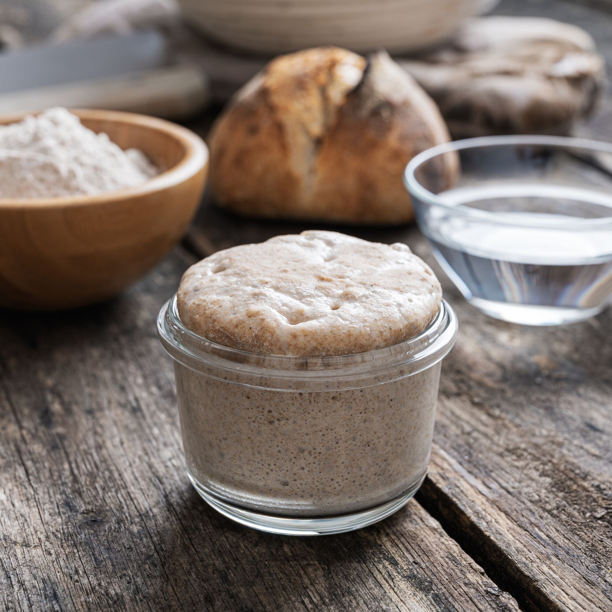 Sourdough Starter Dehydrated Sour Dough Starter Sourdough Etsy