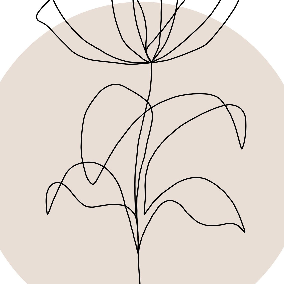Flower Line Art Print | Abstract Botanical Wall Decor | Downloadable ...