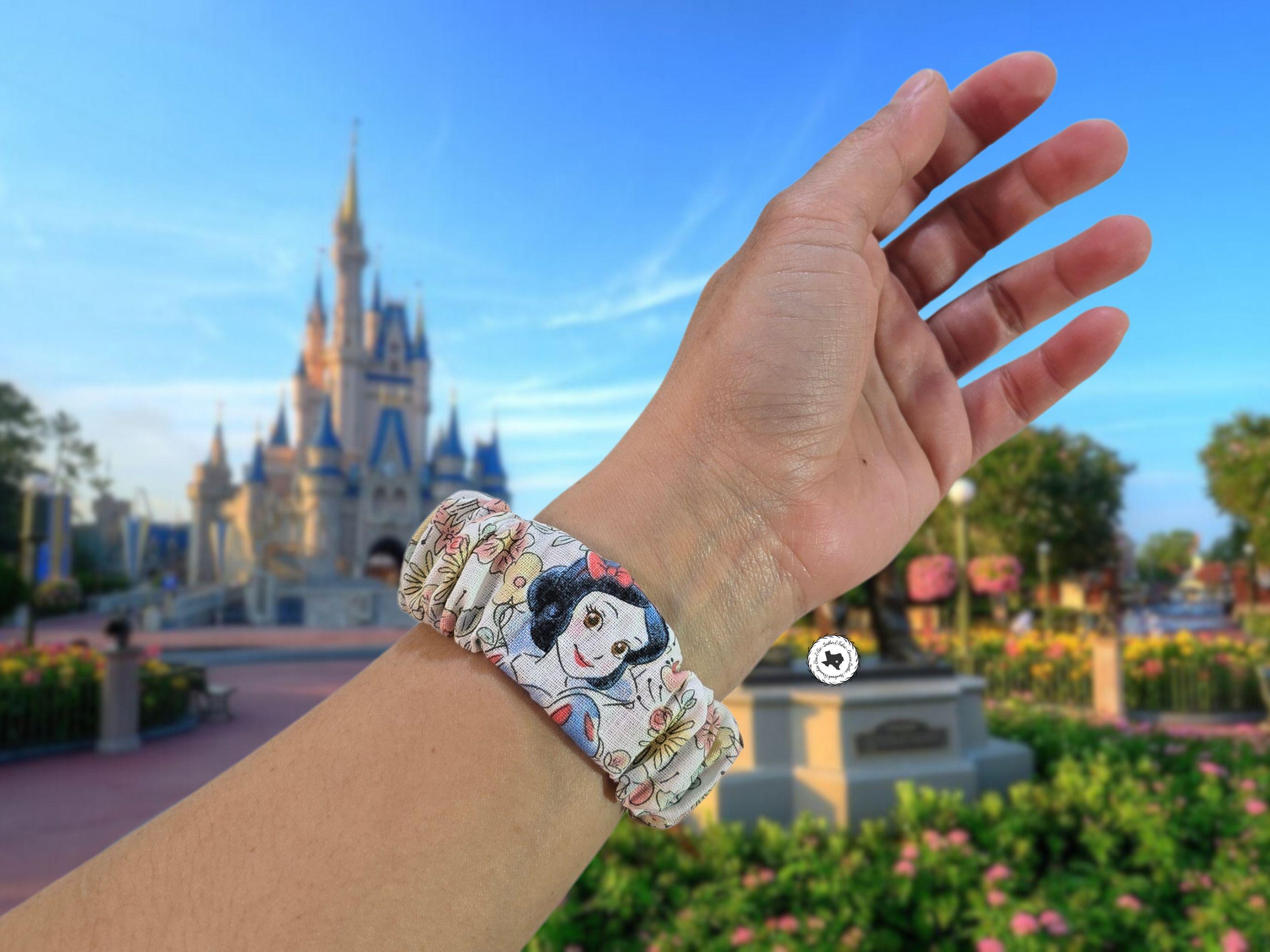 Cinderella Apple Watch Band Princess Cinderella Inspired Apple