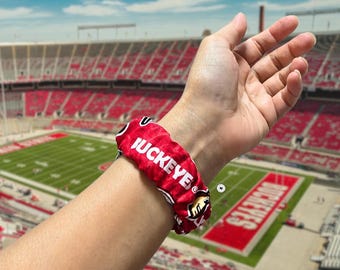 Colombus Football Team Scrunchie Apple Watch Band | Scarlet and Gray | Columbus Collegiate Fan Accessory