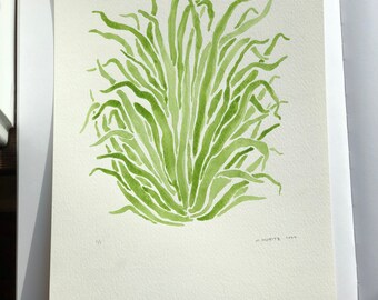 Botanical Watercolor Artwork, Palms