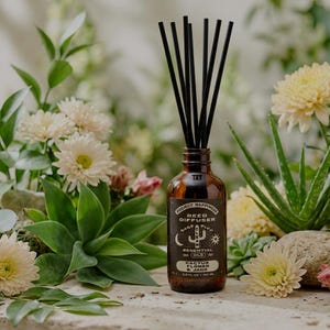Cactus Flower and Jade Reed Diffuser, Essential Oils, Desert Floral Scent, 3.5oz, Floral Aroma