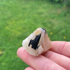 May include: A small, clear quartz crystal with a black tourmaline inclusion. The crystal is irregularly shaped and has a rough, natural surface.