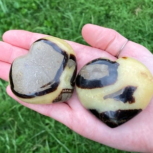 May include: Two heart-shaped polished stones with brown and yellow banding. The stones are held in a hand.