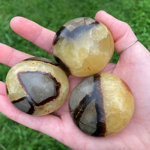 May include: Three polished spheres of yellow calcite with brown and black banded patterns. The spheres are smooth and have a glossy finish.