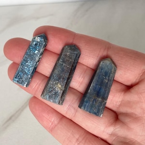 May include: Four blue kyanite crystal points, also known as blue quartz, are displayed on a hand. The crystals are a dark blue color with a slight shimmer.
