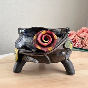 Imported Rare Echeveria   succulent from Korea