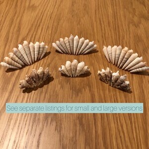 Mermaidcore seashell hair clip barrette for a beach lover mermaid image 10