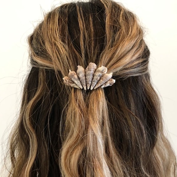 Seashell Hair Clip Etsy