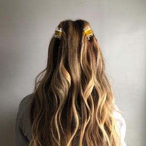 May include: A person with long, wavy, light brown hair with blonde highlights. Two small, clear hair clips are in the hair. The clips are shaped like a glass of beer.