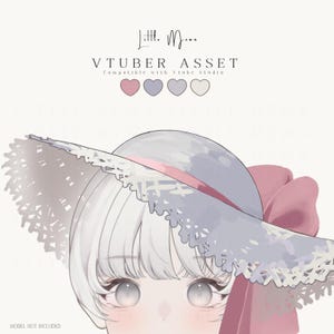 May include: A digital illustration of a wide-brimmed hat with a lace-trimmed edge, a pink ribbon band, and a large pink bow. The text reads Little Moon, VTUBER ASSET, Compatible with Vtube Studio, and MODEL NOT INCLUDED. Four small hearts are shown.