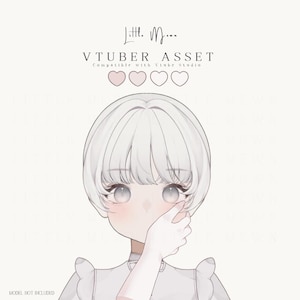 May include: A digital illustration of a character with short white hair, large light eyes, and a pale complexion. The character wears a collared garment with ruffled sleeves. Text reads Little Moon, VTUBER ASSET, Compatible with Vtube Studio.
