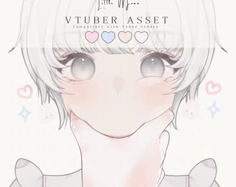 Recurso de Vtuber Face Cheek Squish para VTube Studio, accesorios animados con rigging