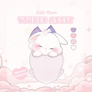VTuber Asset | Rigged Sleeping Bunny