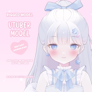 Full Body Rigged VTuber Model for VTube Studio