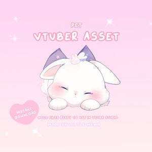 VTuber Asset | Rigged Sleeping Bunny