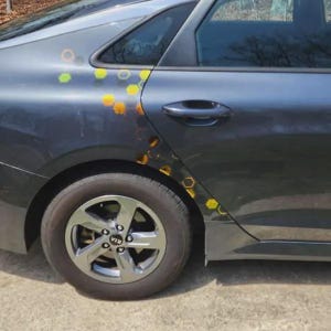Calcomanía para auto JDM hexagonal/panal de 2 pulgadas/Crea tu propia envoltura para vehículo/Calcomanías para camioneta, auto, SUV/Se adapta a cualquier auto/computadora portátil/computadora de escritorio imagen 8