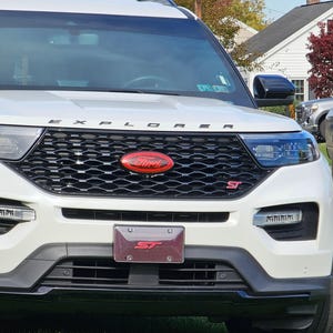 2 pc. Full Coverage Tinted Ford Badge Overlay Set