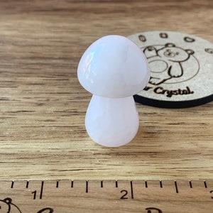 Rose Quartz Mushroom Carving / Lucid Rose Quartz / Mushroom Carving / Rose Quartz Carving / Crystal Mushroom / Crystal Food Mushroom Carving