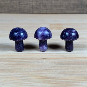 K&ouml;nnte beinhalten: Drei kleine, violette Pilzfiguren mit abgerundeten Kappen und schlanken Stielen. Die Pilze sind in einer Reihe angeordnet, jeder mit einem leicht unterschiedlichen Violettton. Der Hintergrund ist eine hellbraune Holzoberfl&auml;che.